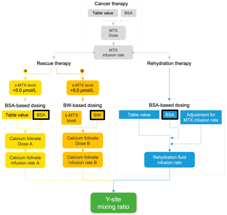 Strategies for Assessing Physical Compatibility of Calcium Folinate with Bicarbonate During Methotrexate Rescue Therapy in Pediatric Patients with Acute Lymphoblastic Leukemia.