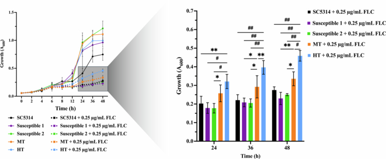 Fluconazole tolerance and virulence adaptations of <i><b>Candida albicans</b></i> isolated from head and neck cancer patients.