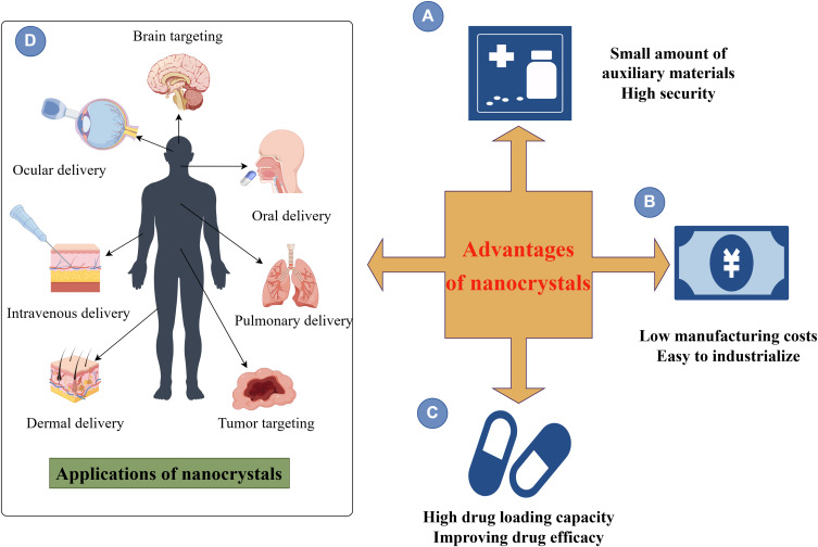 Nanocrystalline Drug Delivery Systems for Natural Compounds: Progress, Challenges and Future Opportunities.