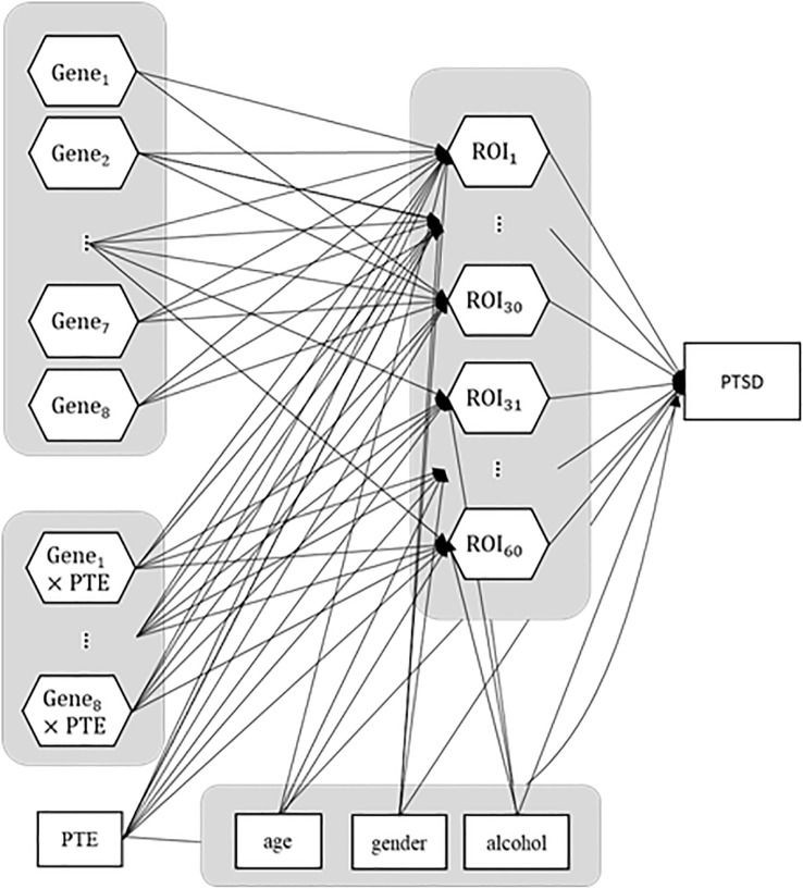Influence of genetic polymorphism and trauma on cortical structures and PTSD severity: Imaging genetics generalized structured component analysis.