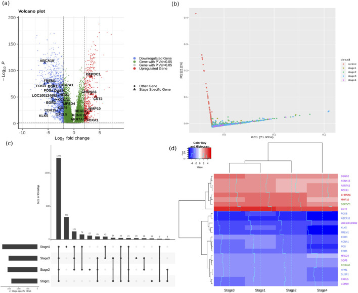 BC-predict: mining of signal biomarkers and production of models for early-stage breast cancer subtyping and prognosis.