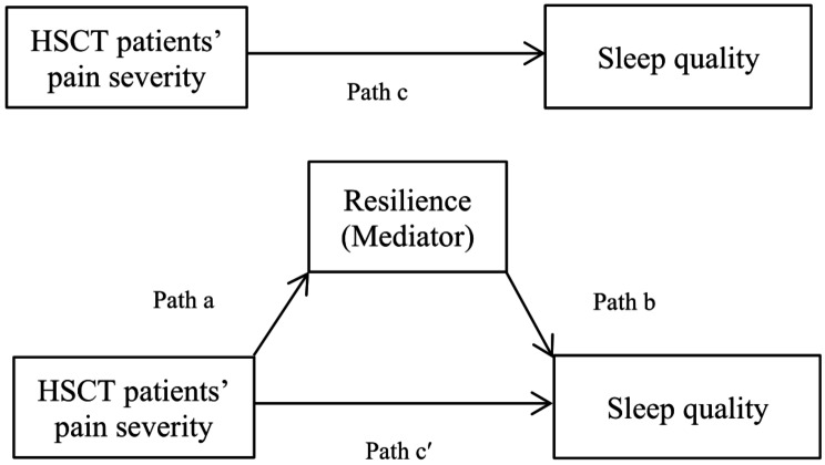 The mediating role of health anxiety, resilience, and body image in the relationship between pain and sleep in hematopoietic stem cell transplantation patients.