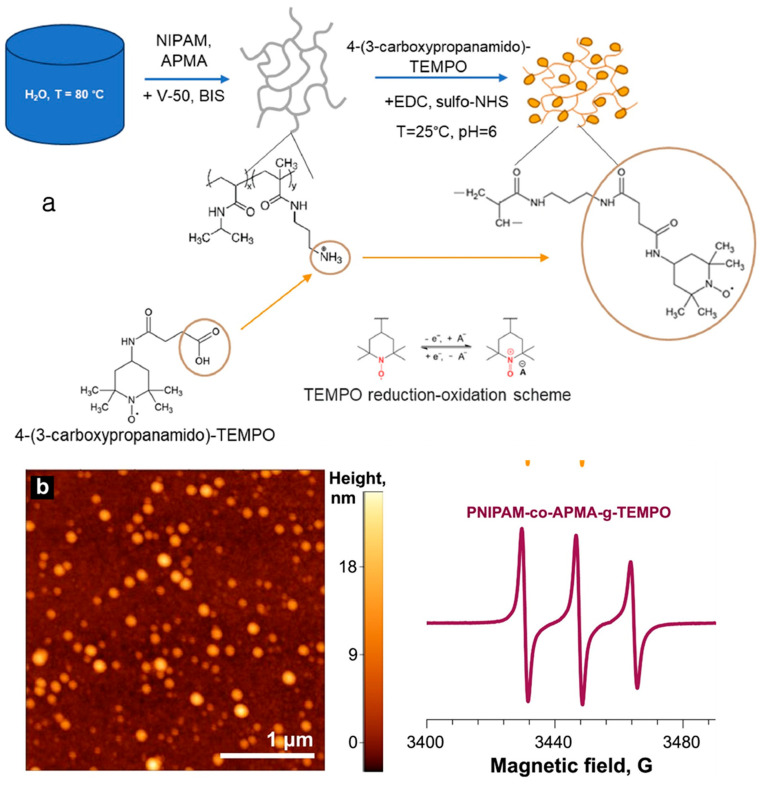Nano Gel/Hydrogel-Based Components for Battery Technology: An Overview.