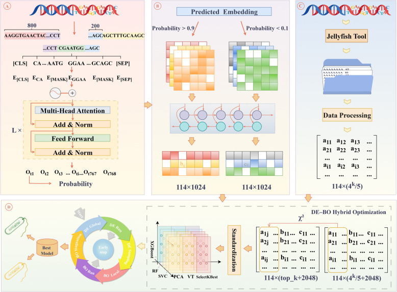 HKDE-LACM: a hybrid model for lactic acid bacteria classification via k-mer and DNABERT-2 embedding fusion with cyclic DE-BO optimization.