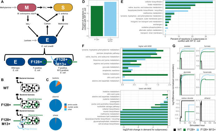 Metabolic remodeling of microorganisms by mobile genetic elements alters mutualistic community composition.