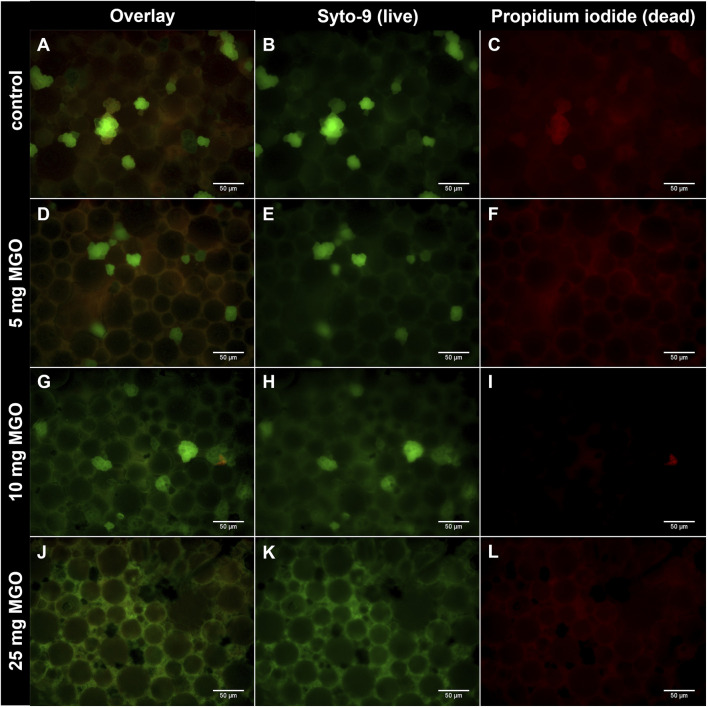 <i>In vitro</i> evaluation of methylglyoxal as an antibacterial additive to bone cement.