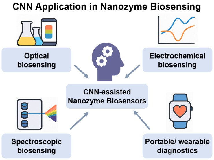 Deep Learning-Enhanced Nanozyme-Based Biosensors for Next-Generation Medical Diagnostics.