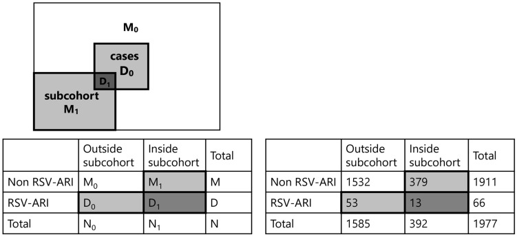 Cord Blood RSV-Neutralizing Antibodies and Risk of Hospitalization for RSV-Associated Acute Respiratory Infection in Vietnamese Children: A Case-Cohort Study.