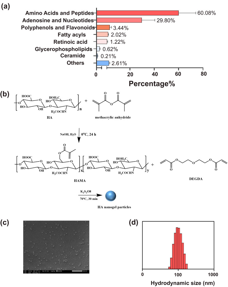 Iontophoretic Delivery of Hyaluronic Acid Nanogel-Loaded Fermented Rice Extract Mitigates Skin Glycation.