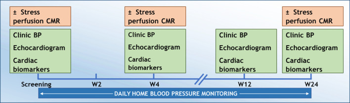 Vascular endothelial growth factor inhibitor-induced cardiotoxicity: prospective multimodality assessment incorporating cardiovascular magnetic resonance imaging.