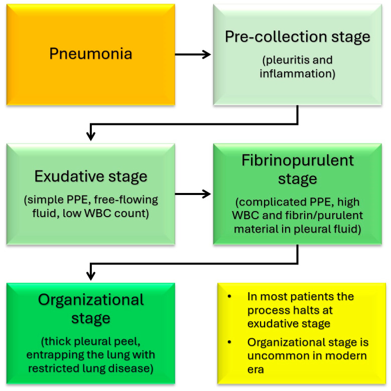 A Comprehensive Review of Pediatric Necrotizing Pneumonia.