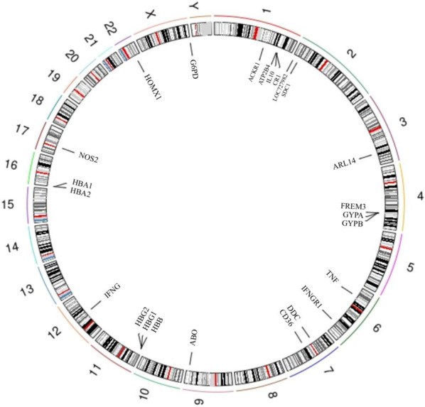 Human genetic variations conferring resistance to malaria.