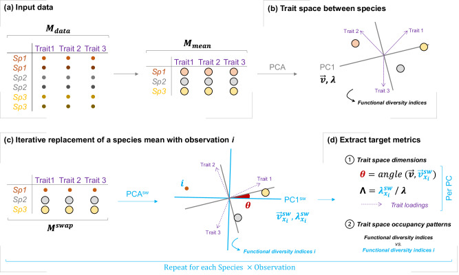 Quantifying the influence of intraspecific variability in trait spaces.