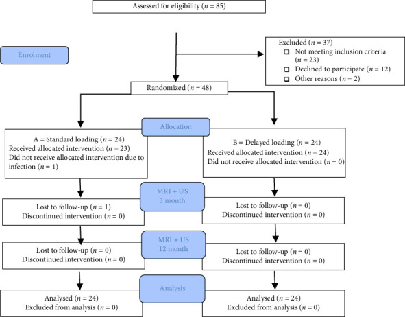 Morphological Changes One Year After Achilles Tendon Rupture Repair: A Comparison of Loading Strategies.