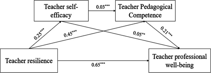 The relationship between resilience and professional well-being among early childhood teachers: the chain mediating role of teacher pedagogical competence and self-efficacy.