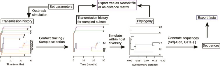 Identifying impacts of contact tracing on HIV epidemiological inference from phylogenetic data.