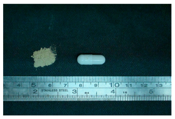 Effects and Microbiota Changes Following Oral Lyophilized Fecal Microbiota Transplantation Capsules in Canine with Chronic Enteropathy After Parvovirus Infection: Case Report.