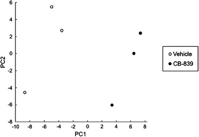 Glutaminase Expression in Canine Large-Cell Alimentary Lymphoma Cells and Effects of Glutaminase Inhibition by CB-839.