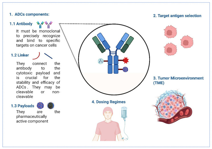 Antibody-Drug Conjugates in Breast Cancer: Navigating Innovations, Overcoming Resistance, and Shaping Future Therapies.