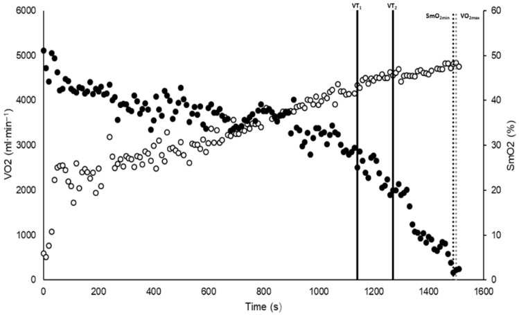 Physiological Predictors of Peak Velocity in the VAM-EVAL Incremental Test and the Role of Kinematic Variables in Running Economy in Triathletes.