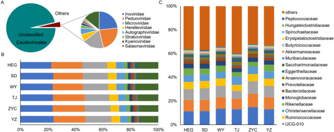 Population and Spatial Features Impact the Gut Phageome-Bacteriome Structure and Interactions in a Mammal Species Living in Fragmented Habitats.