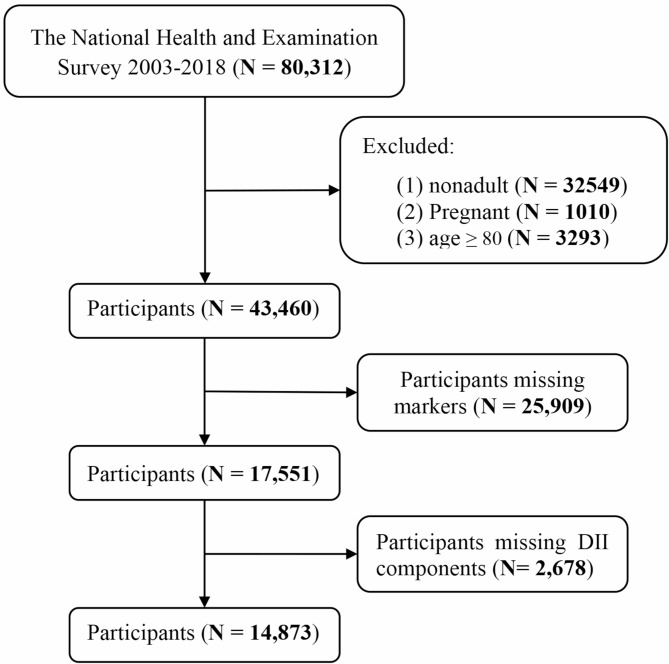Association of the dietary inflammatory index with multi-organ biological age acceleration.