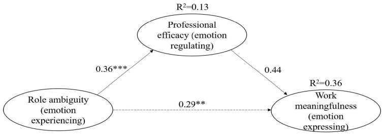 Experiencing, Regulating, and Expressing Emotions: Gendered and Agentic Pathways of Emotional Labor in Human Services.