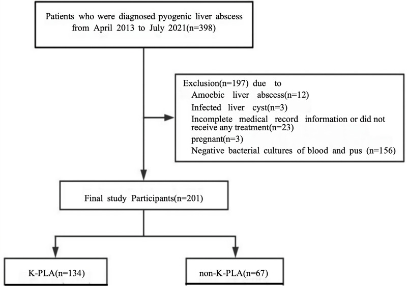 Establishment of a Machine Learning-Based Predictive Model for <i>Klebsiella pneumoniae</i> Liver Abscess.