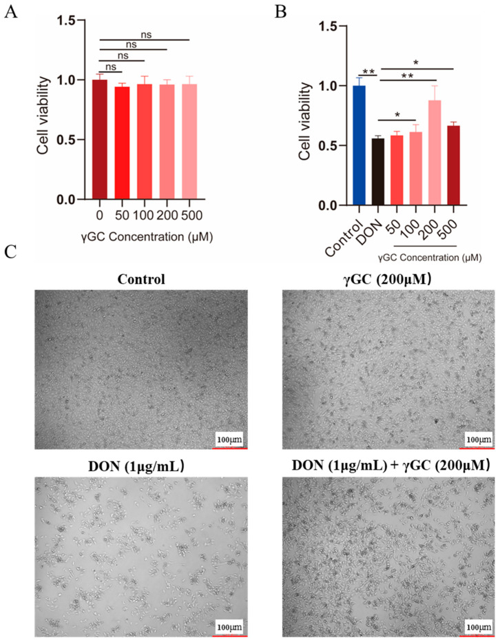 Integrative Analysis of Metabolome and Transcriptome Identifies the Role of γ-Glutamylcysteine in Mitigating Deoxynivalenol-Induced Toxicity.