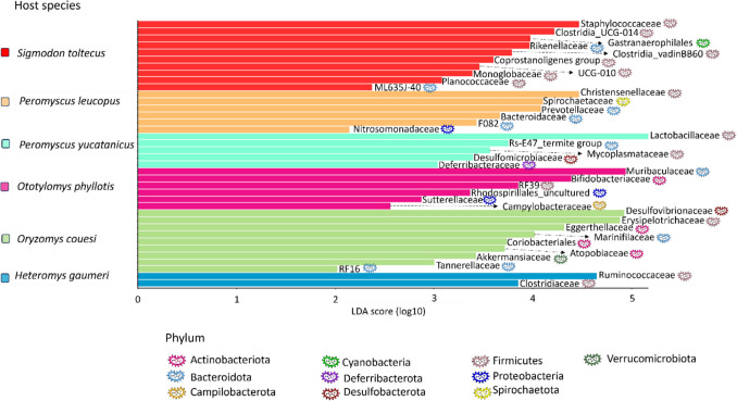 Evolutionary and Ecological Drivers of Gut Microbiota in Wild Rodent Species from the Yucatán Peninsula.