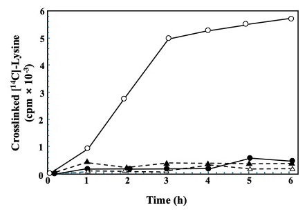 Fractionation and Extraction of Cell Wall Proteins From <i>Candida albicans</i>.