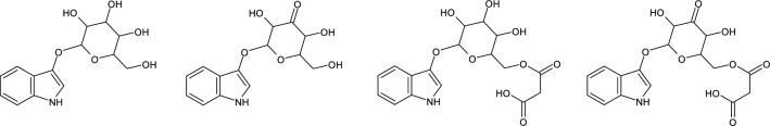 Microbes Associated to Dyer's woad (Isatis tinctoria L.): Pigment Extraction, Dyeing and Cultivation with Non-toxic Inputs. A Review.