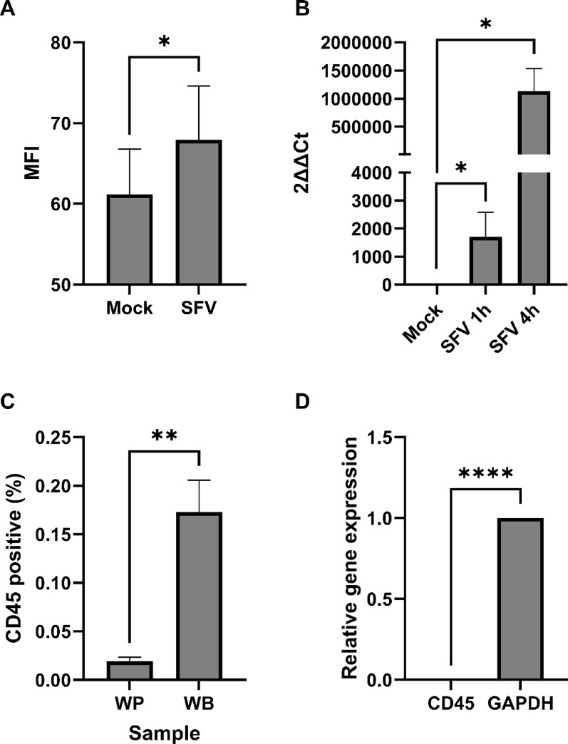 Human platelets support Semliki Forest virus replication.