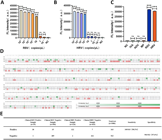 Development of a single-tube, dual-target CRISPR Cas12a/Cas13a system for rapid screening of coinfection with respiratory syncytial virus and rhinovirus.