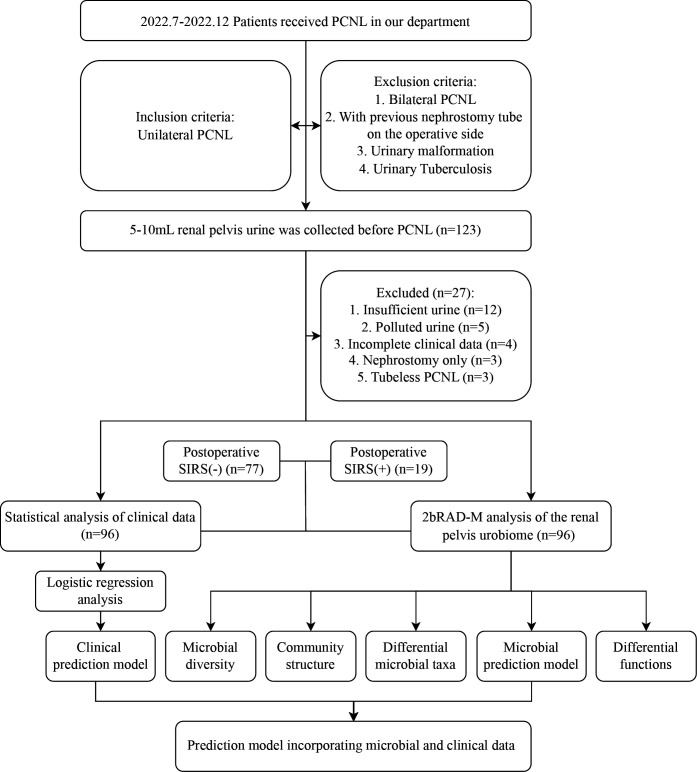 Renal pelvis urobiome dysbiosis is associated with postoperative systemic inflammatory response syndrome after percutaneous nephrolithotomy.