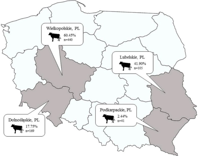 Serological evidence of influenza D virus circulation among cattle in Poland.