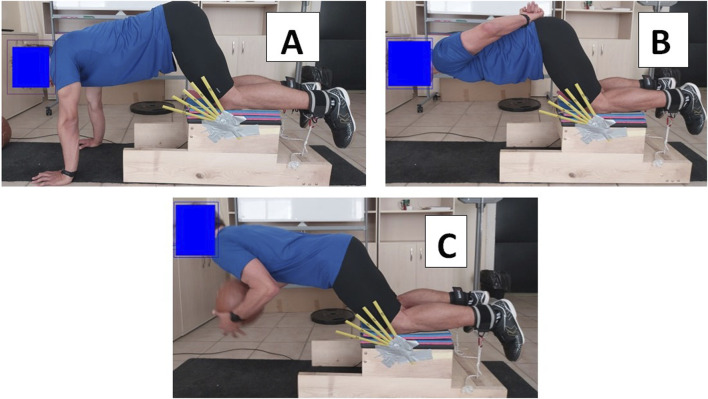 Maximal isometric and eccentric hamstring strength is influenced by body mass and additional load: Does the critical point at which peak knee flexor force is achieved play a role?