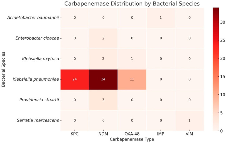 Assessment of Factors Contributing to Multidrug Resistance in Urinary Tract Infections: Focus on Carbapenem Resistance.