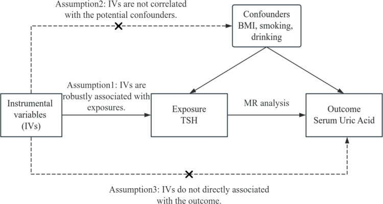 Effects of thyroid-stimulating hormone and sensitivity to thyroid hormones on the risk of hyperuricemia in euthyroid adults.