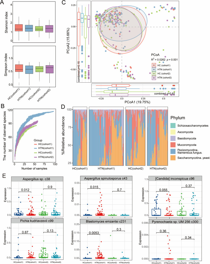 Cross-cohort microbiome-wide study reveals consistent alterations in the gut bacteriome, but not the gut mycobiome, in patients with hypertension.