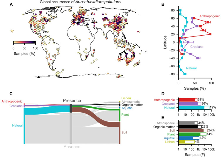 <i>Aureobasidium pullulans</i>: a microbiome-based perspective from global biomes to edible plant tissues.
