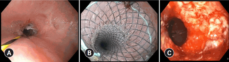 Abstract Image