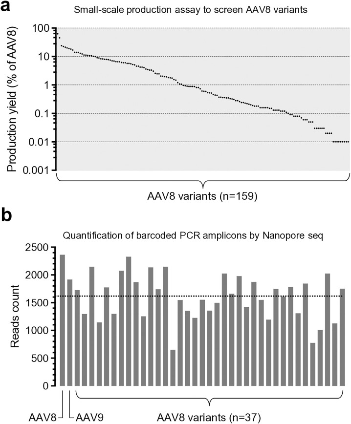 A single amino acid variant in the variable region I of AAV capsid confers liver detargeting.