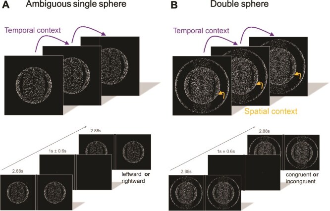 Anterior insular activity signals perceptual conflicts induced by temporal and spatial context.