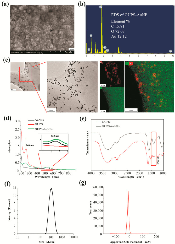 <i>Glycyrrhiza uralensis</i> Polysaccharide Gold Nanoparticles as Antigen Carriers and Potential Adjuvant to DC Vaccines.