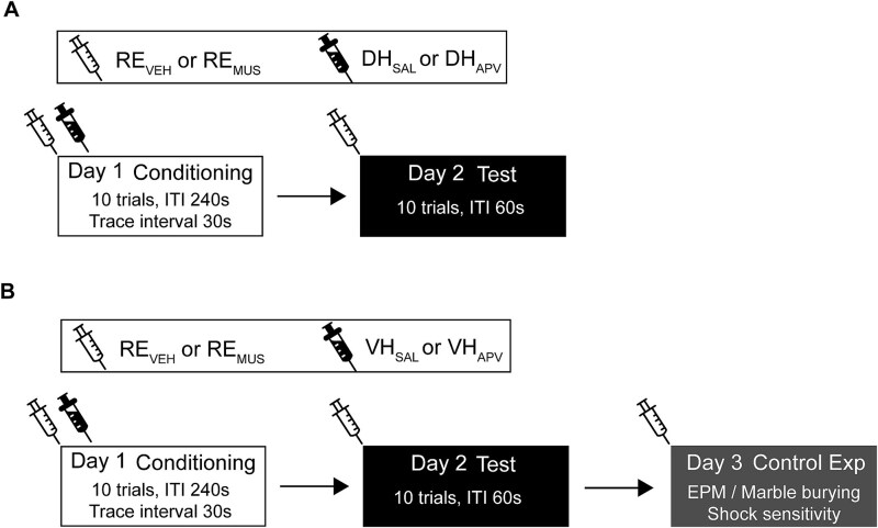 Acquisition of trace fear conditioning without functional nucleus reuniens did not require dorsal or ventral hippocampus NMDA receptor activation in male Long-Evans rats.