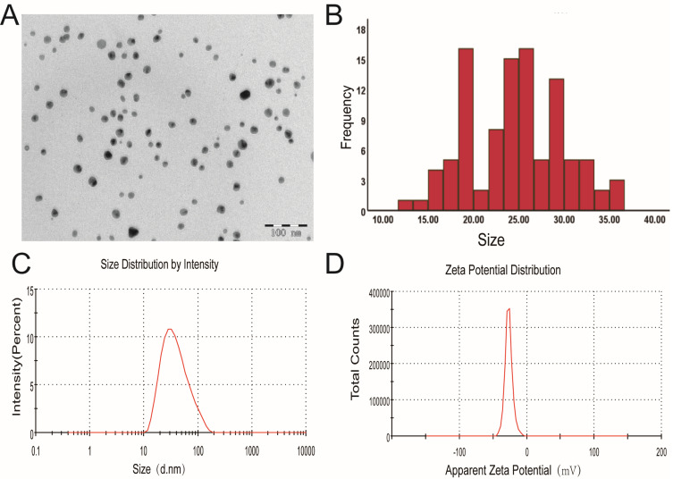 Intratracheal Instillation of Silver Nanoparticles to Rats Induces Mitochondrial Fission and Aortic Damage: Protective Effect of Sodium Selenite.