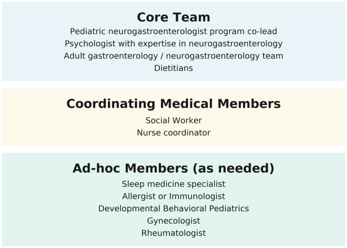 Risk Factors for Transition of Care in Disorders of Gut-Brain Interaction: A Narrative Review and Expert Opinion.
