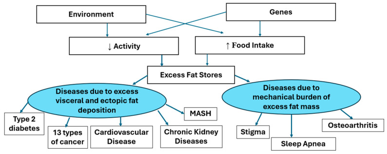 Beyond Obesity.