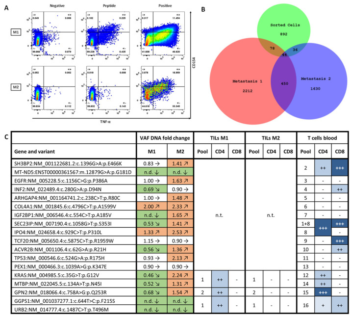 Case Report: A Multi-Peptide Vaccine Targeting Individual Somatic Mutations Induces Tumor Infiltration of Neoantigen-Specific T Cells in a Patient with Metastatic Colorectal Cancer.